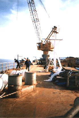 pic11.gif (59359 bytes)