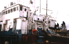 pic13s.gif (24518 bytes)