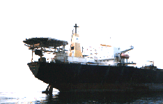 pic3s.gif (12102 bytes)