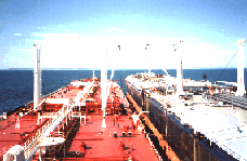 pic5s.gif (22230 bytes)